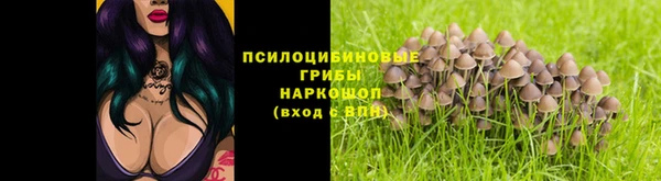 амфетамин Новозыбков