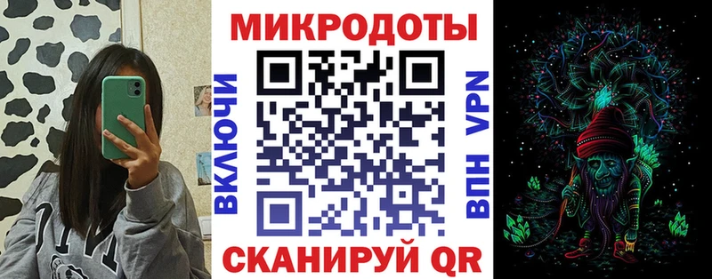 Галлюциногенные грибы Psilocybe Урай
