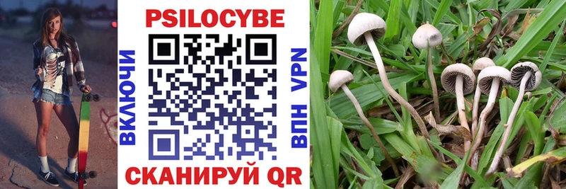 Псилоцибиновые грибы Psilocybe  Урай 